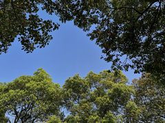 -艾溪湖湿地公园