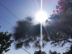 -敬亭山风景名胜区