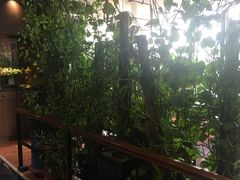 -向阳庄烧烤店(望京西园店)