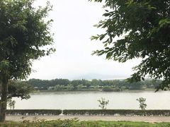 -麦当劳(总统大酒店店)