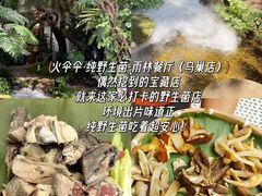 -西双版纳原始森林公园