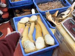 -吴记富苑(朝阳店)