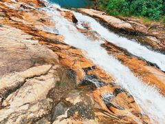 -广州白江湖森林公园