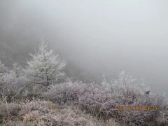 -阳台山自然风景区