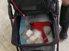 -美联众合动物医院·24h转诊中心