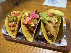 -Famous肥猫墨西哥音乐餐吧(五棵松华熙LIVE店)