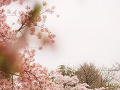 -上海辰山植物园