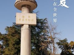 -洛阳古墓博物馆