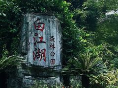 -广州白江湖森林公园