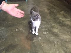 -MIKAKU(万达广场上海宝山店)