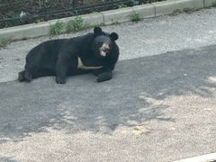 -大连森林动物园