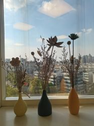 点击看大图 -杭州贝瑞斯美华妇儿医院·早孕·产检·儿科