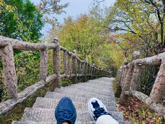 -秦岭终南山世界地质公园翠华山景区