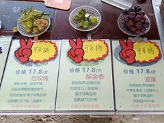 -马陆小张葡萄园农家乐