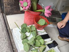 -葑门横街