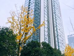 -百林公园-两江幸福广场
