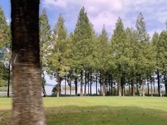 -东钱湖旅游度假区