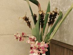 -旺顺阁海鲜广场(亚运村店)