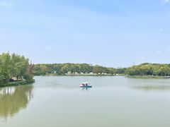 -昆山城市生态森林公园