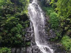 -望天鹅景区