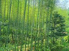 -黄公望隐居地