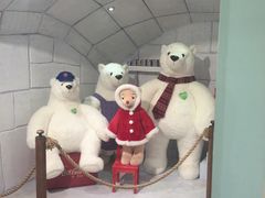 -济州岛泰迪熊博物馆