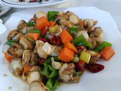 葱爆威海扇贝-威海渔村(静安旗舰店)