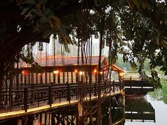 -侨美·唐荔园·40年地道粤菜