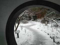 -何园
