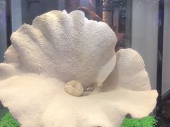 -游龙石文化科普馆