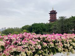 -厦门园林博览苑