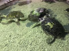 -南昌海洋公园