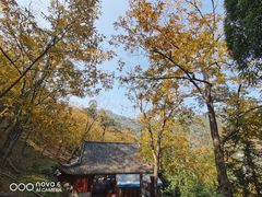 -藏龙百瀑风景区