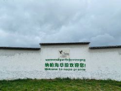-纳帕海依拉草原