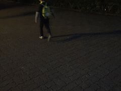 -汉拿树木园