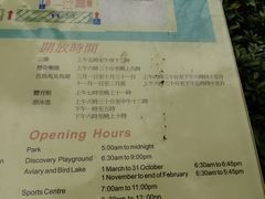 -九龙公园