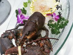 -双井轩(双井店)