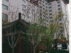 -王府半岛酒店