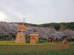 -苏州上方山国家森林公园