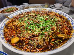 -新概念来凤鱼(璧山店)