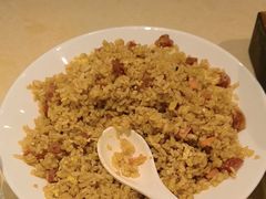 -杨氏青龙虾·羊蝎子(珠江路店)