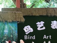 -西双版纳原始森林公园