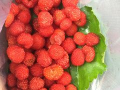 -楠溪江风景名胜区