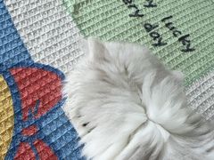 -瑞鹏宠物医院·骨科·猫科·内科(第一中心)