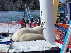 -富龙滑雪场