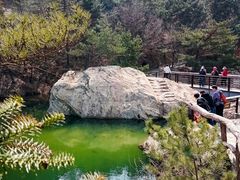 -九龙池景区