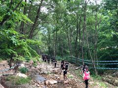 -大连天门山国家森林公园