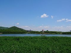 -大连铭湖国际观光牧场