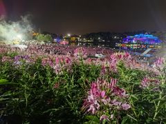 -大塘金香草谷