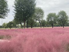 -汉长安城未央宫国家考古遗址公园